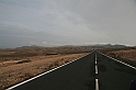 Kanary_2010 001